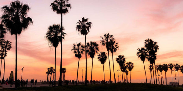 Top 5 night walks to do in Los Angeles venice beach at night with palm trees sunset